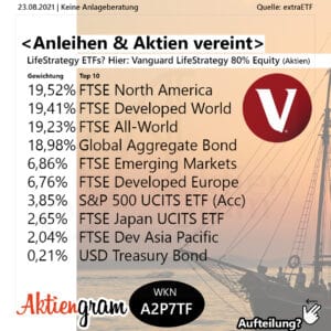 Anleihen & Aktien vereint: LifeStrategy ETFs?