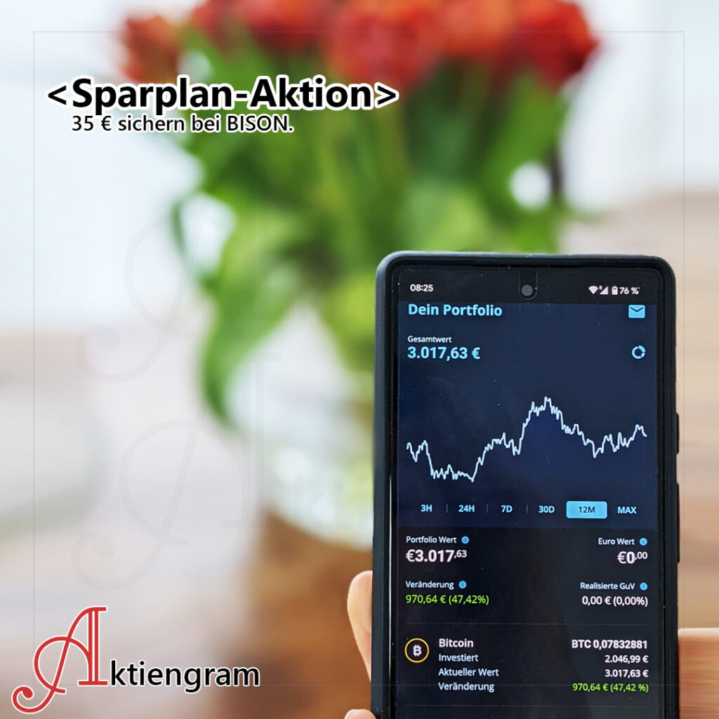 BISON-35-Euro-sichern